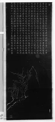 Plum blossom traced from stone pattern