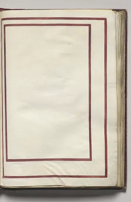Border, folio 12 (recto), from Florilegium (A Book of Flower Studies)
