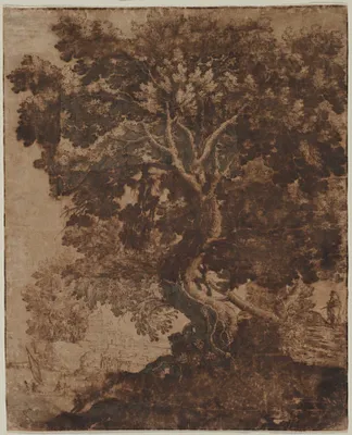 Tree in a Landscape