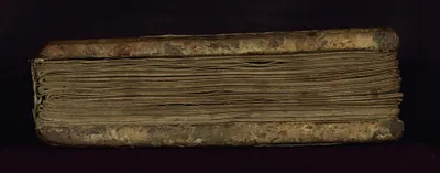 p. 8