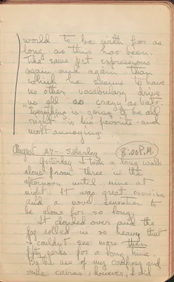 p. 20