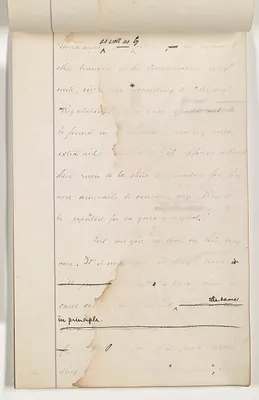 p. 8