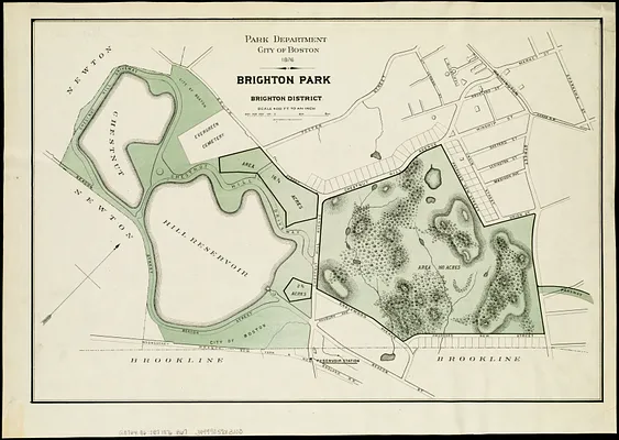 Brighton park