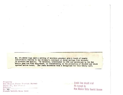 p. 4