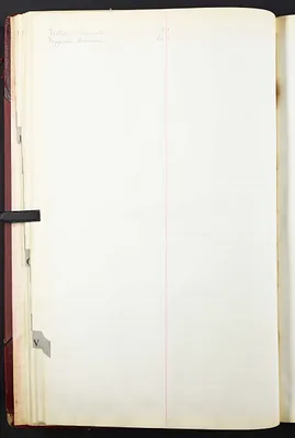 p. 24