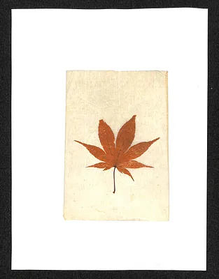 p. 18