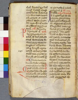 p. 6