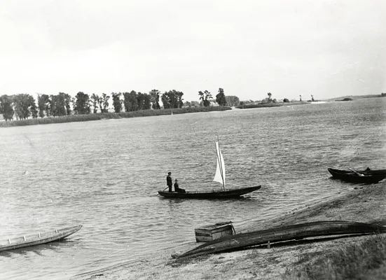 1966