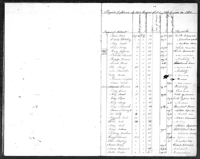 p. 11