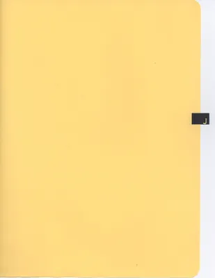 p. 41