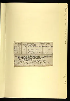 p. 4