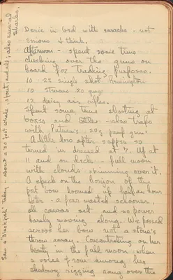 p. 11