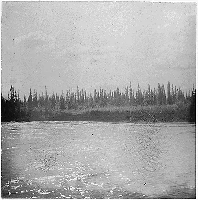 A river, forest in background.
