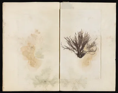 p. 55