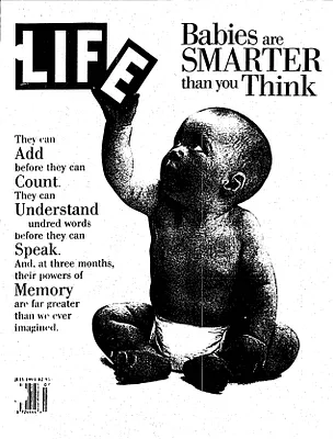 p. 6