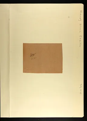 p. 15