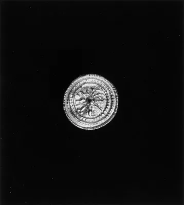 Disc