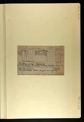 p. 5