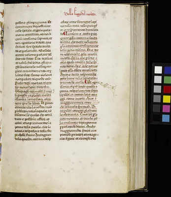 Leaf from Scala Santa