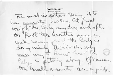 p. 3