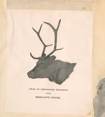 p. 45