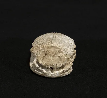 Commemorative Scarab of Amenhotep III
