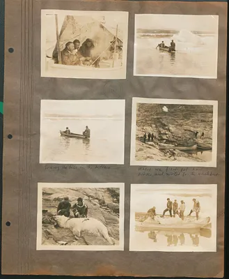 p. 43
