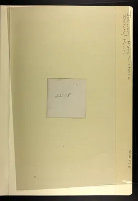 p. 7
