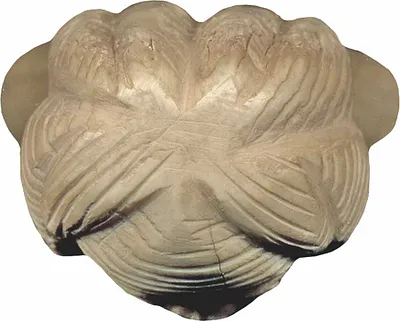 p. 5