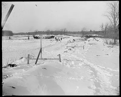 Filter beds construction