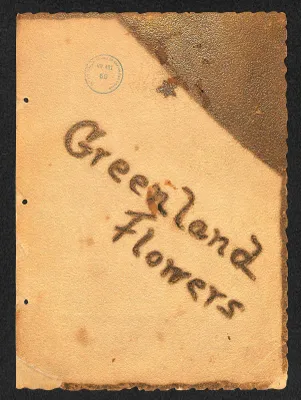 p. 20