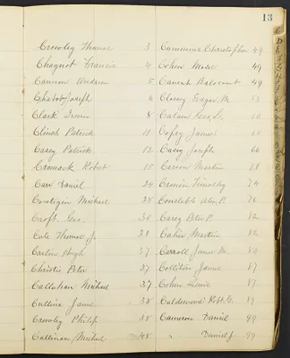 p. 15