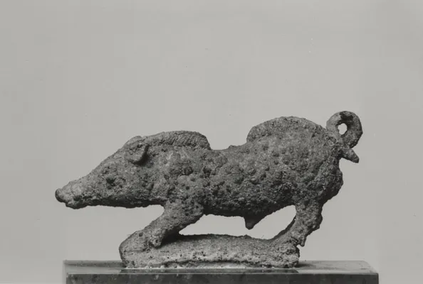 Wild Boar