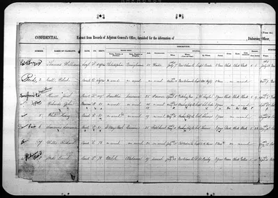 p. 31