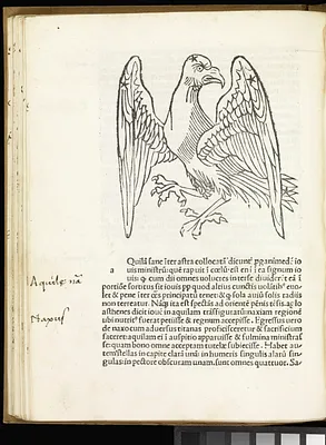 p. 56