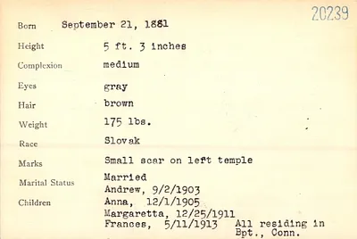 p. 8