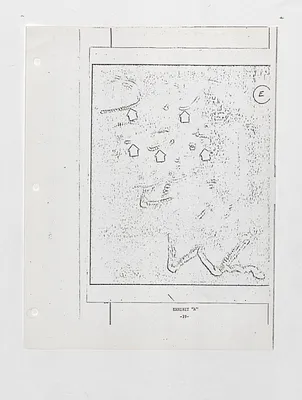 p. 21
