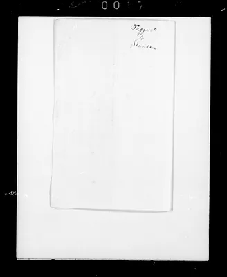 p. 27