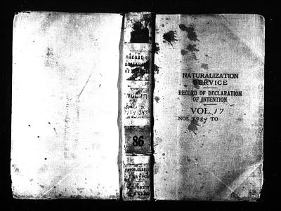 p. 7