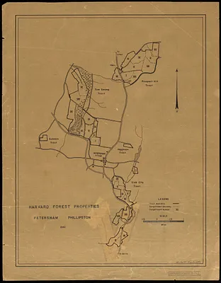 Harvard Forest Properties Petersham and Phillipston 1941