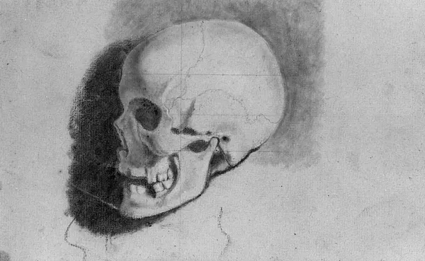 Study of a Skull