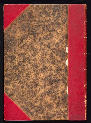 p. 2