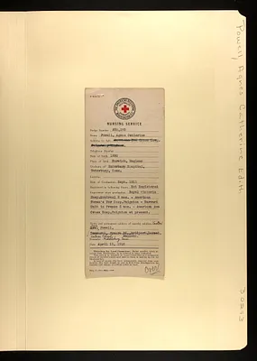 p. 5