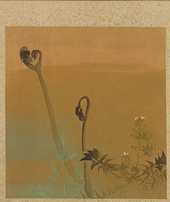 New Ferns from Album of Paintings by the Venerable Zeshin
