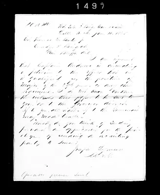 p. 7
