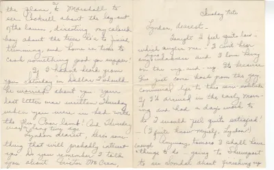 p. 5