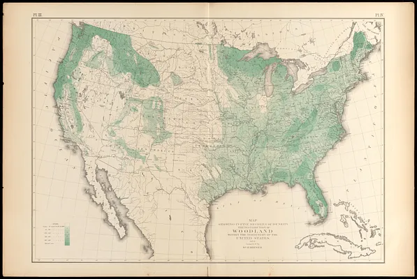 Map showing in five degrees of density the distribution of woodland within the territory of the United States, 1873
