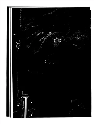 p. 28