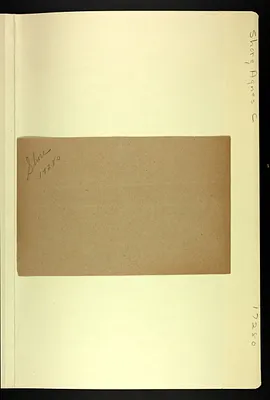 p. 19