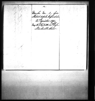 p. 41